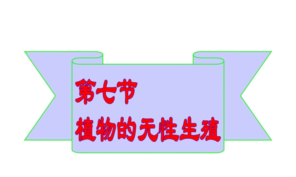 八年级生物上册 4.1.7 植物的无性生殖课件 （新版）济南版-（新版）济南级上册生物课件