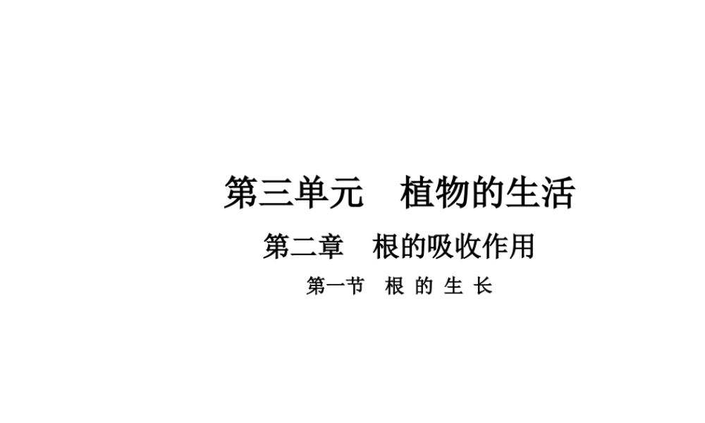 八年级生物上册 3.2.1 根的生长课件 （新版）冀教版-（新版）冀教级上册生物课件
