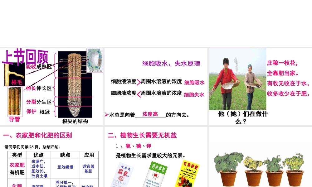 八年级生物上册 3.2.3 无机盐与植物的生长课件 （新版）冀教版-（新版）冀教版初中八年级上册生物课件