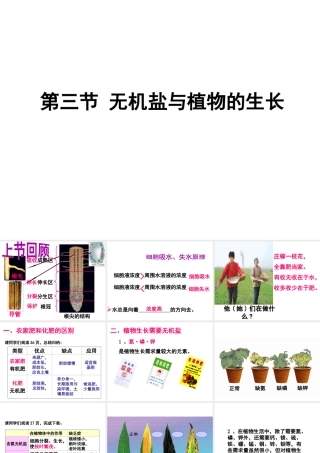 八年级生物上册 3.2.3 无机盐与植物的生长课件 （新版）冀教版-（新版）冀教版初中八年级上册生物课件