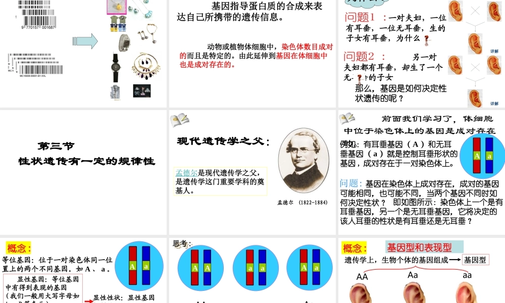 八年级生物上册  性状遗传的物质基础课件 （新版）北师大版-（新版）北师大级上册生物课件