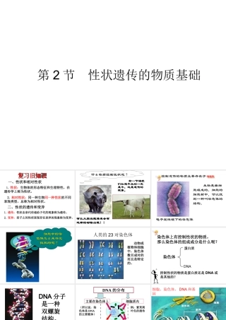 八年级生物上册  性状遗传的物质基础课件 （新版）北师大版-（新版）北师大级上册生物课件