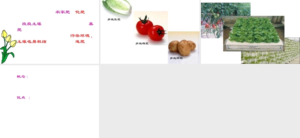 八年级生物上册 3.2《吸收作用与水肥管理》课件2 冀教版