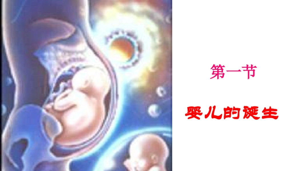 八年级生物上册 4.1.婴儿的诞生课件 济南版-济南版初中八年级上册生物课件