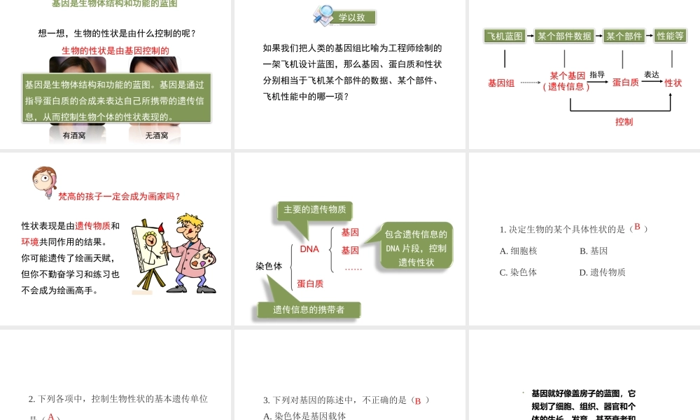 八年级生物上册  性状遗传的物质基础课件（1）（新版）北师大版-（新版）北师大级上册生物课件