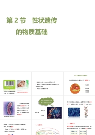 八年级生物上册  性状遗传的物质基础课件（1）（新版）北师大版-（新版）北师大级上册生物课件