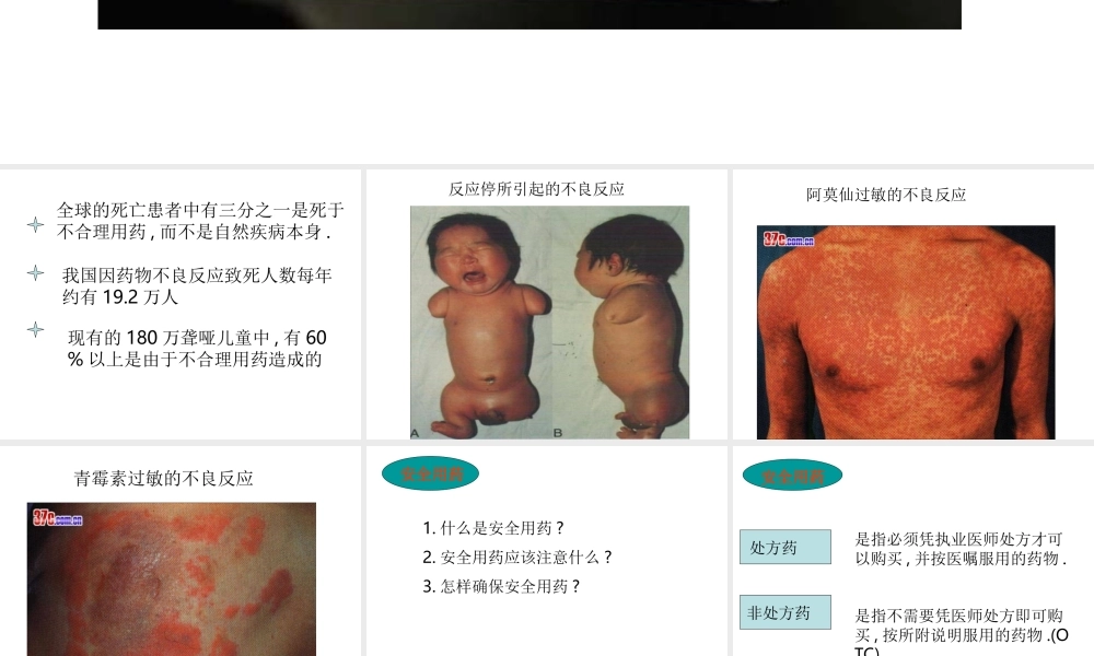 八年级生物上册 3.3 安全用药课件 沪教版-沪教版初中八年级上册生物课件