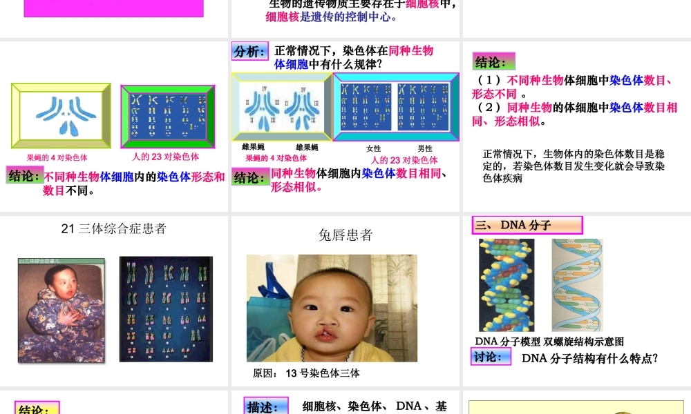 八年级生物上册 4.1遗传的物质基础课件 济南版