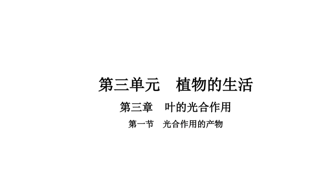 八年级生物上册 3.3.1 光合作用的产物课件 （新版）冀教版-（新版）冀教级上册生物课件