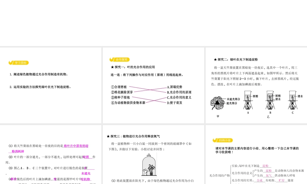 八年级生物上册 3.3.1 光合作用的产物课件 （新版）冀教版-（新版）冀教级上册生物课件