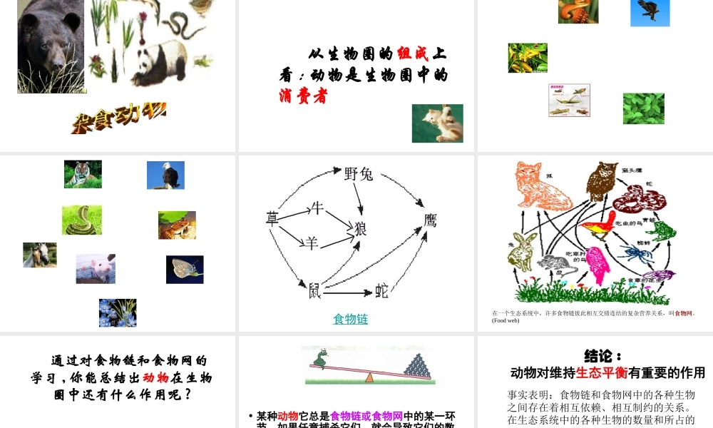 八年级生物上册 17.1 动物在生物圈中的作用课件 北师大版-北师大版初中八年级上册生物课件