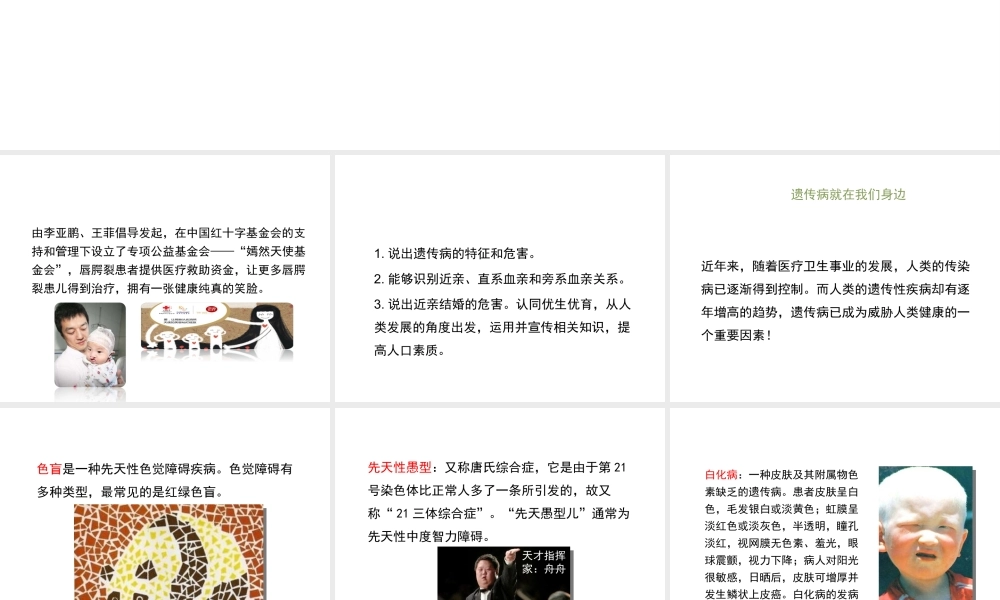 八年级生物上册  遗传病和人类健康课件（2）（新版）北师大版-人教级全册生物课件