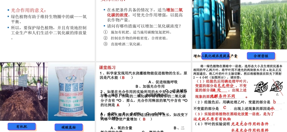 八年级生物上册 3.3.2 光合作用的原料课件 （新版）冀教版-（新版）冀教版初中八年级上册生物课件