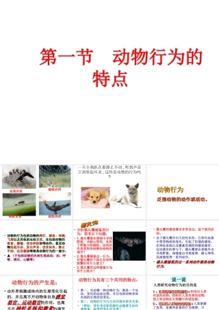 八年级生物上册 4.2.1 动物行为的特点课件 （新版）冀教版-（新版）冀教版初中八年级上册生物课件