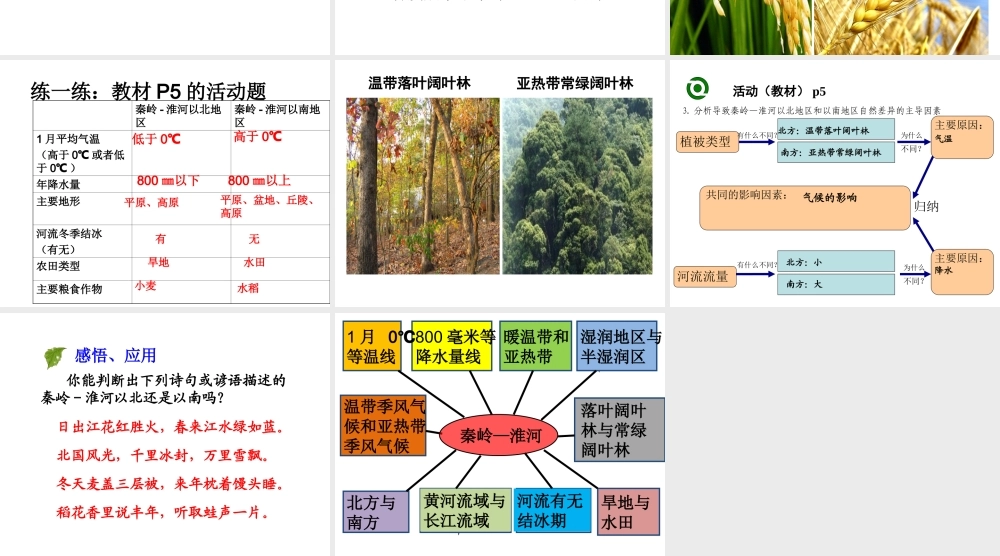 八年级地理下册 第五章 中国地理差异课件 新人教版-新人教版初中八年级下册地理课件