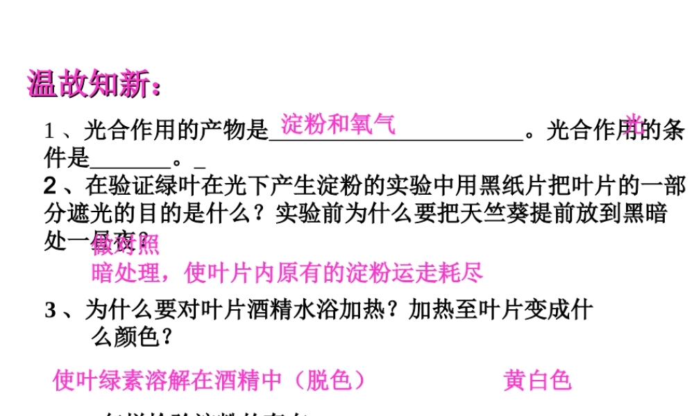 八年级生物上册 3.3.2 光合作用的原料课件 （新版）冀教版-（新版）冀教级上册生物课件