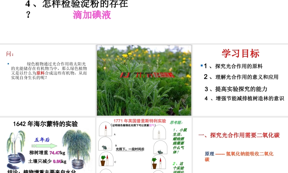 八年级生物上册 3.3.2 光合作用的原料课件 （新版）冀教版-（新版）冀教级上册生物课件