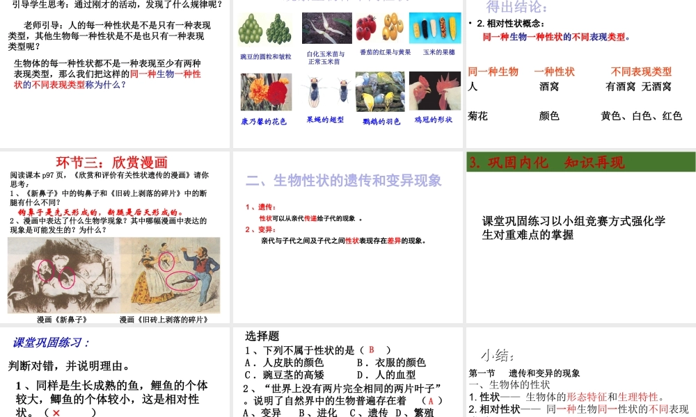 八年级生物上册  遗传和变异现象课件 北师大版-北师大级上册生物课件