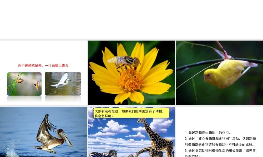 八年级生物上册 17.1 动物在生物圈中的作用课件（1）（新版）北师大版-（新版）北师大版初中八年级上册生物课件