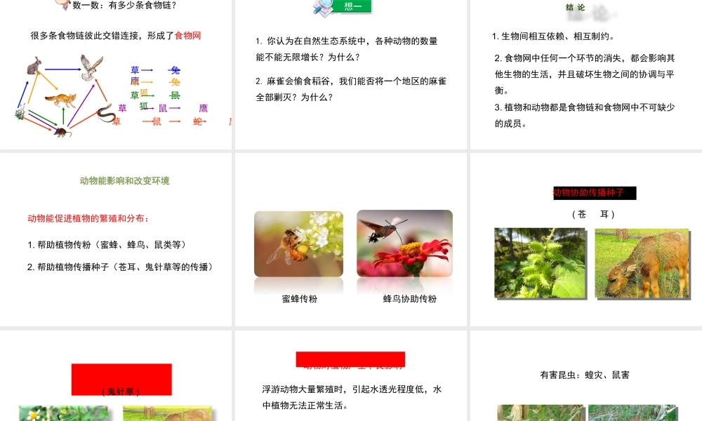 八年级生物上册 17.1 动物在生物圈中的作用课件（1）（新版）北师大版-（新版）北师大版初中八年级上册生物课件
