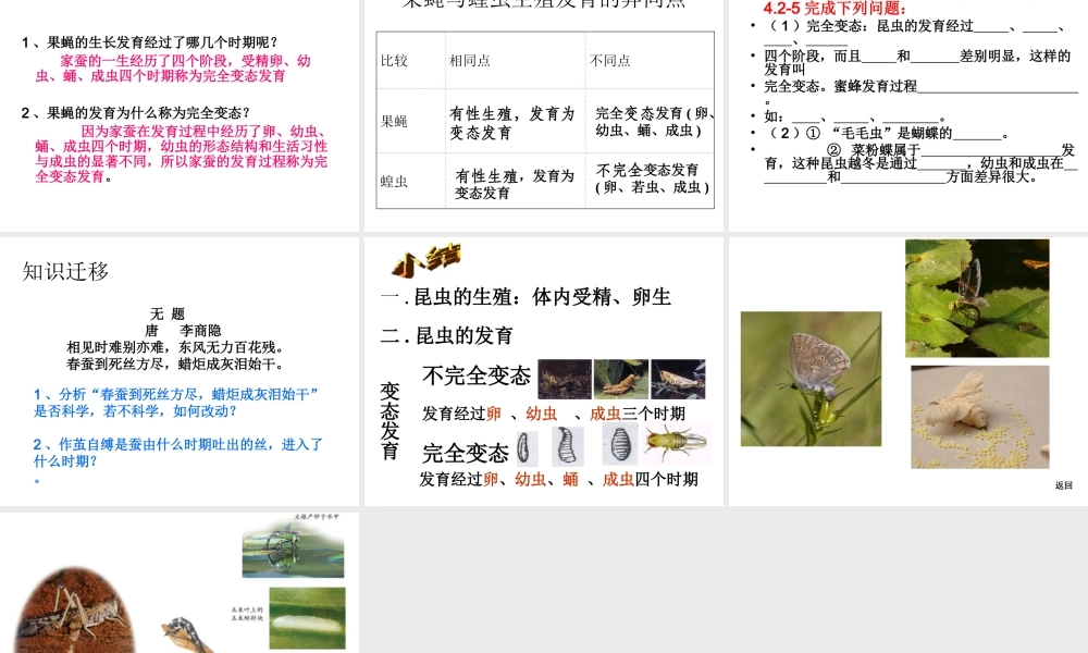 八年级生物上册 4.2.1 昆虫的生殖和发育课件 （新版）济南版-（新版）济南版初中八年级上册生物课件