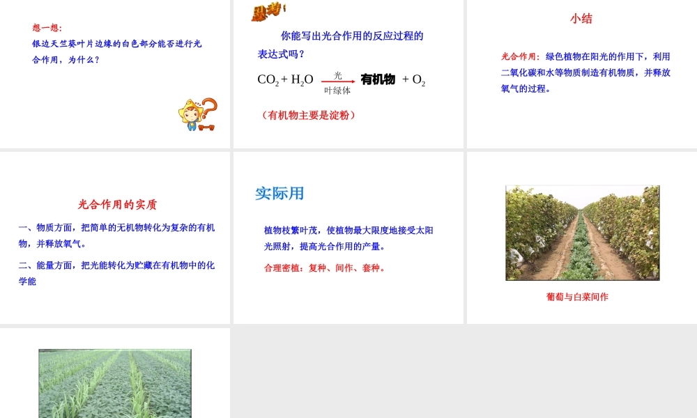 八年级生物上册 3.3.3 光合作用的场所课件 （新版）冀教版-（新版）冀教版初中八年级上册生物课件
