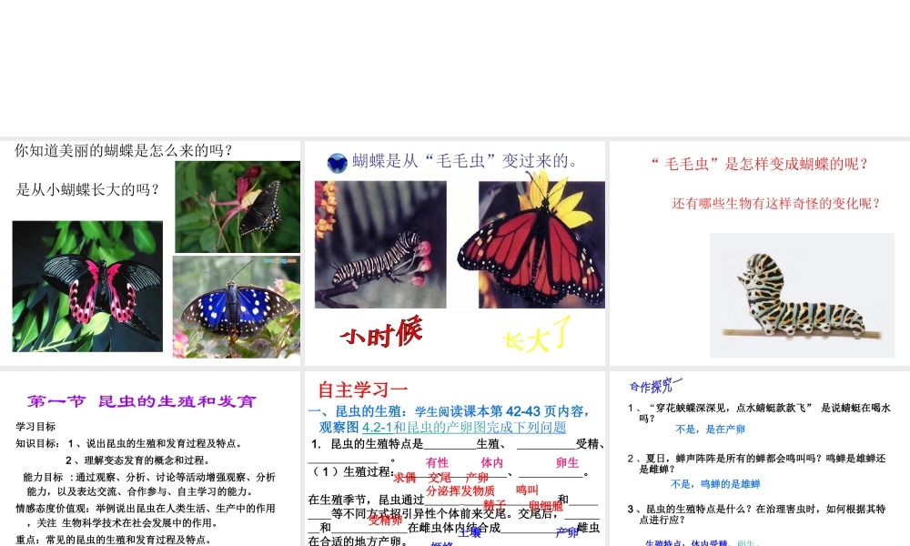 八年级生物上册 4.2.1 昆虫的生殖和发育课件 （新版）济南版-（新版）济南级上册生物课件