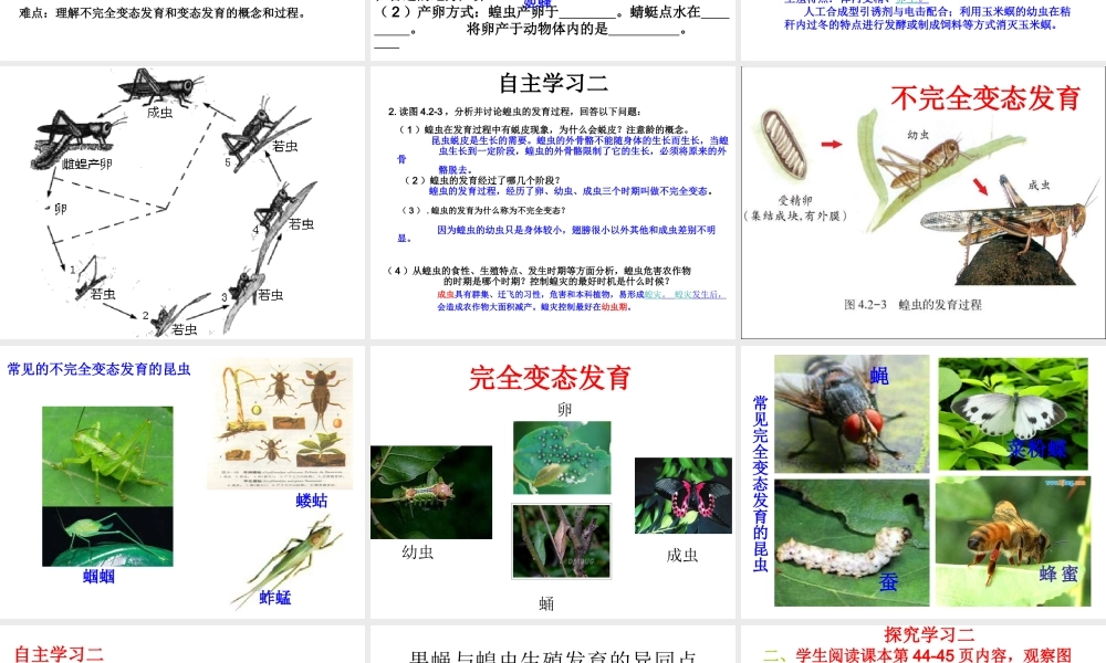 八年级生物上册 4.2.1 昆虫的生殖和发育课件 （新版）济南版-（新版）济南级上册生物课件