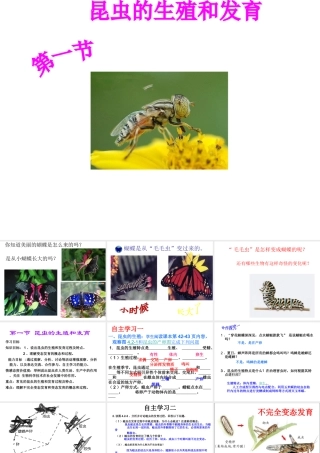 八年级生物上册 4.2.1 昆虫的生殖和发育课件 （新版）济南版-（新版）济南级上册生物课件