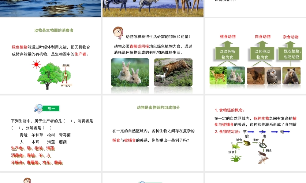 八年级生物上册 17.1 动物在生物圈中的作用课件（1）（新版）北师大版-（新版）北师大级上册生物课件