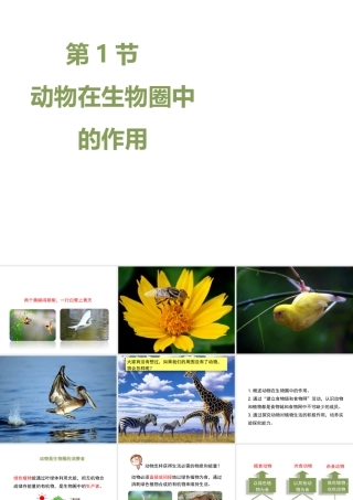 八年级生物上册 17.1 动物在生物圈中的作用课件（1）（新版）北师大版-（新版）北师大级上册生物课件