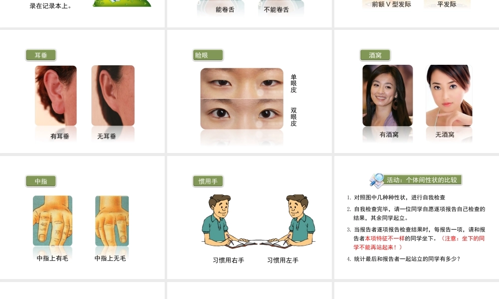 八年级生物上册  遗传和变异现象课件（1）（新版）北师大版-（新版）北师大级上册生物课件