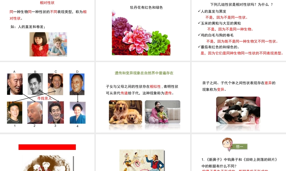 八年级生物上册  遗传和变异现象课件（1）（新版）北师大版-（新版）北师大级上册生物课件