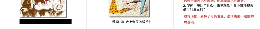 八年级生物上册  遗传和变异现象课件（1）（新版）北师大版-（新版）北师大级上册生物课件