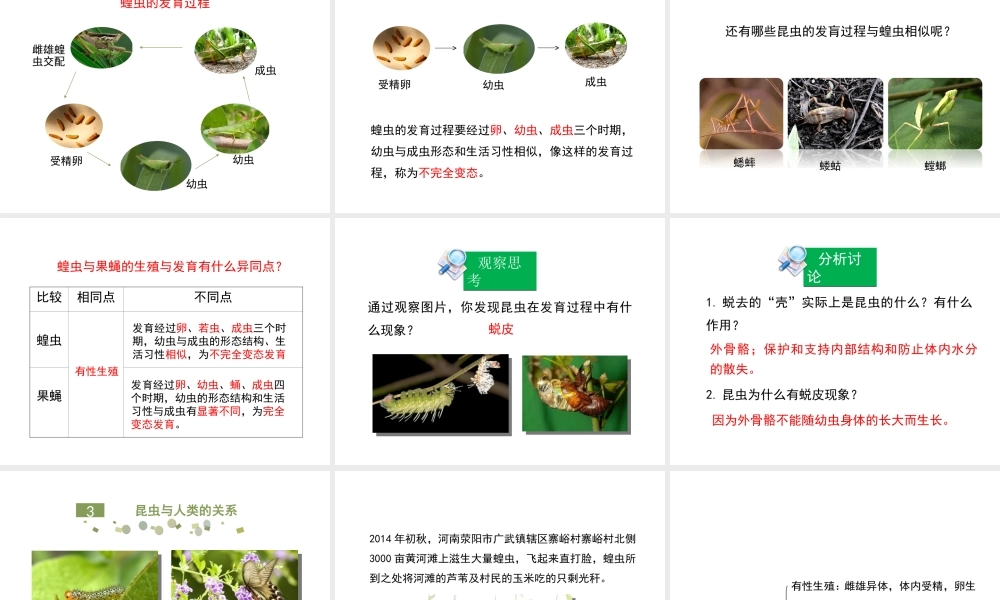 八年级生物上册 4.2.1《昆虫的生殖和发育》课件 （新版）济南版-（新版）济南版初中八年级上册生物课件