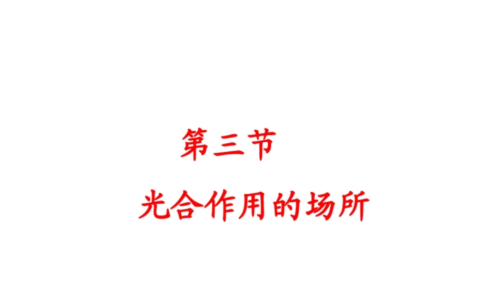 八年级生物上册 3.3.3 光合作用的场所课件 （新版）冀教版-（新版）冀教级上册生物课件