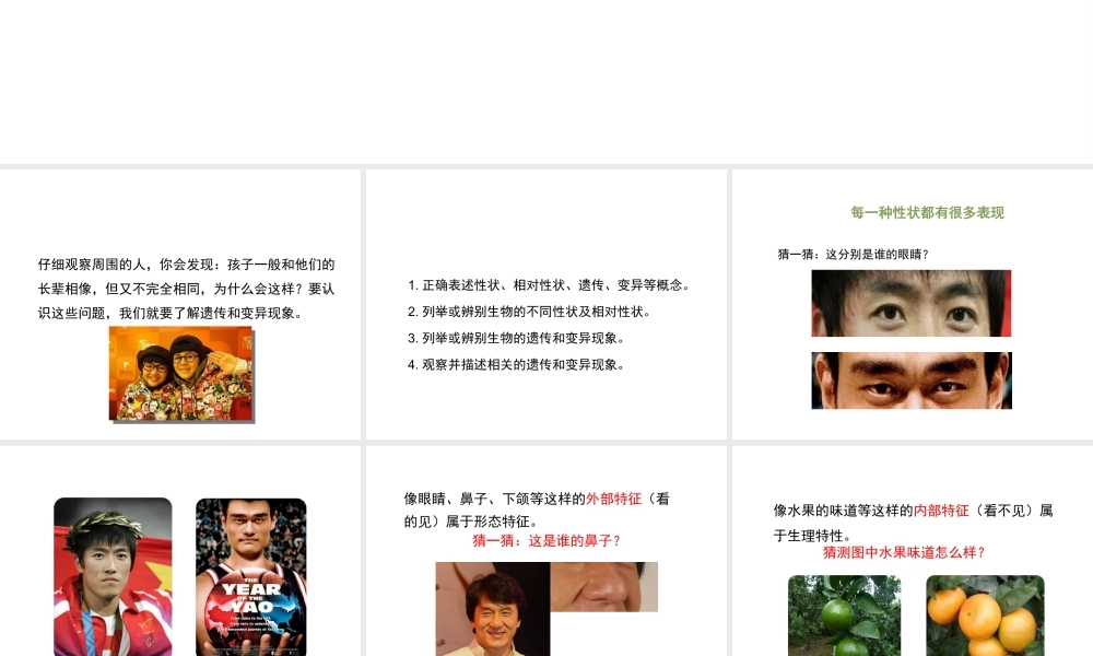 八年级生物上册  遗传和变异现象课件（2）（新版）北师大版-（新版）北师大级上册生物课件