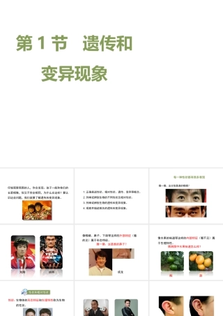 八年级生物上册  遗传和变异现象课件（2）（新版）北师大版-（新版）北师大级上册生物课件