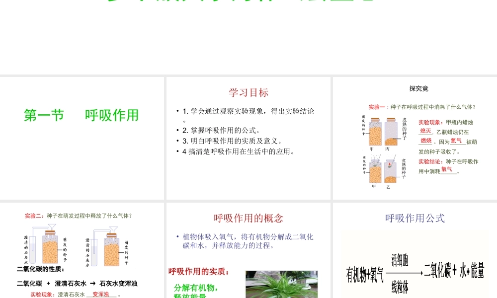 八年级生物上册 3.4.1 呼吸作用课件 （新版）冀教版-（新版）冀教版初中八年级上册生物课件