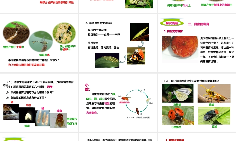 八年级生物上册 4.2.1《昆虫的生殖和发育》课件1 （新版）济南版-（新版）济南版初中八年级上册生物课件