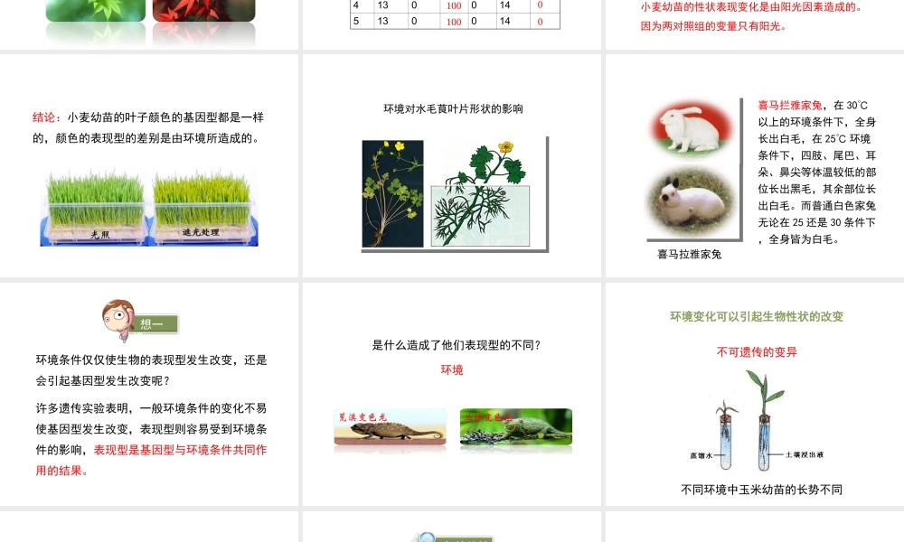 八年级生物上册  遗传与环境课件（1）（新版）北师大版-（新版）北师大级上册生物课件