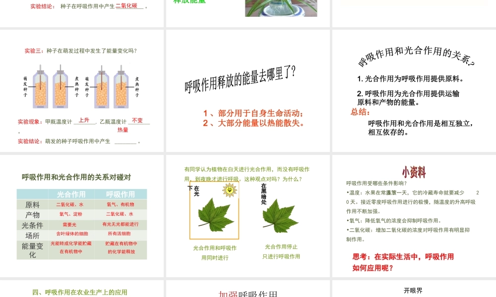 八年级生物上册 3.4.1 呼吸作用课件 （新版）冀教版-（新版）冀教级上册生物课件