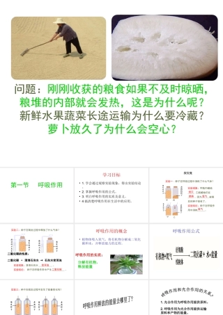 八年级生物上册 3.4.1 呼吸作用课件 （新版）冀教版-（新版）冀教级上册生物课件