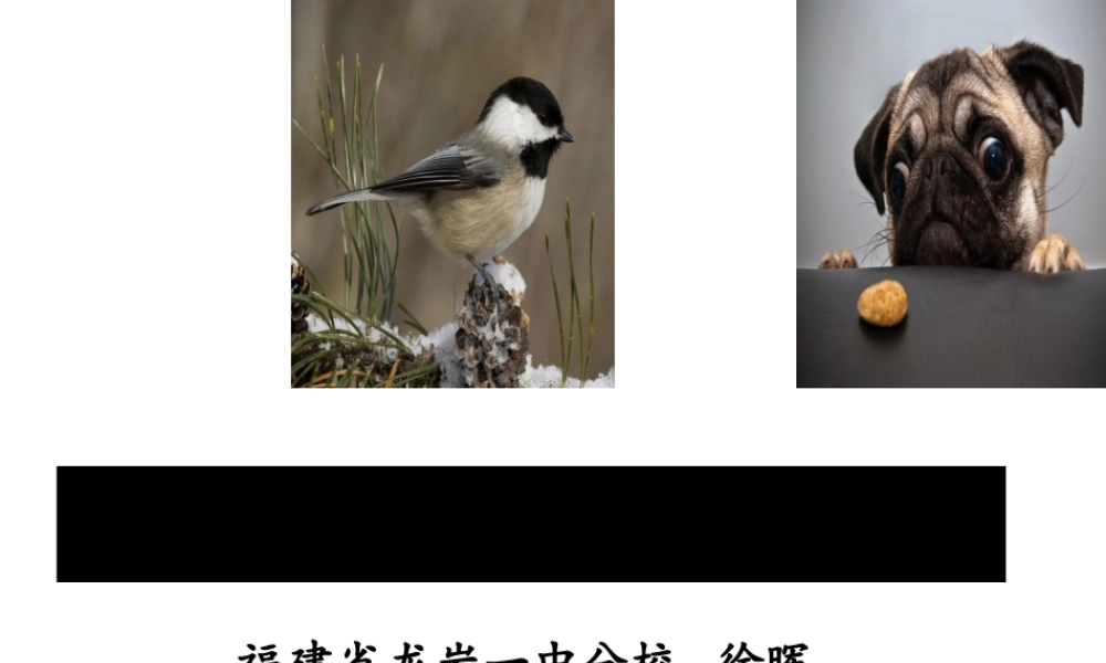 八年级生物上册 17.1 动物在生物圈中的作用说课课件 北师大版-北师大版初中八年级上册生物课件