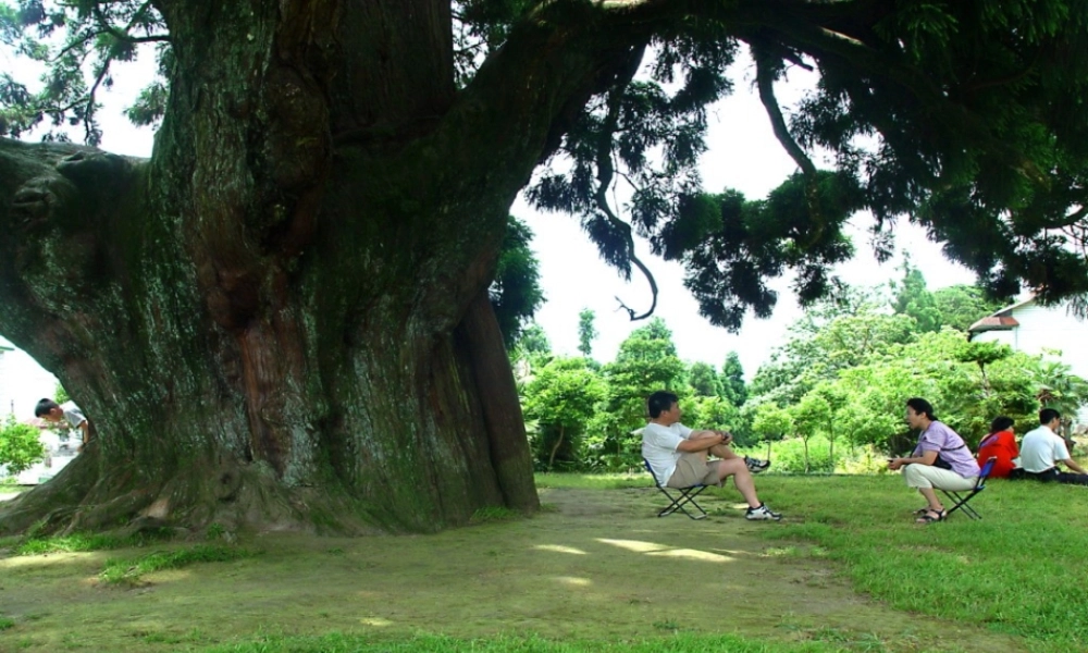 八年级生物上册 3.4.2 蒸腾作用课件 （新版）冀教版-（新版）冀教版初中八年级上册生物课件