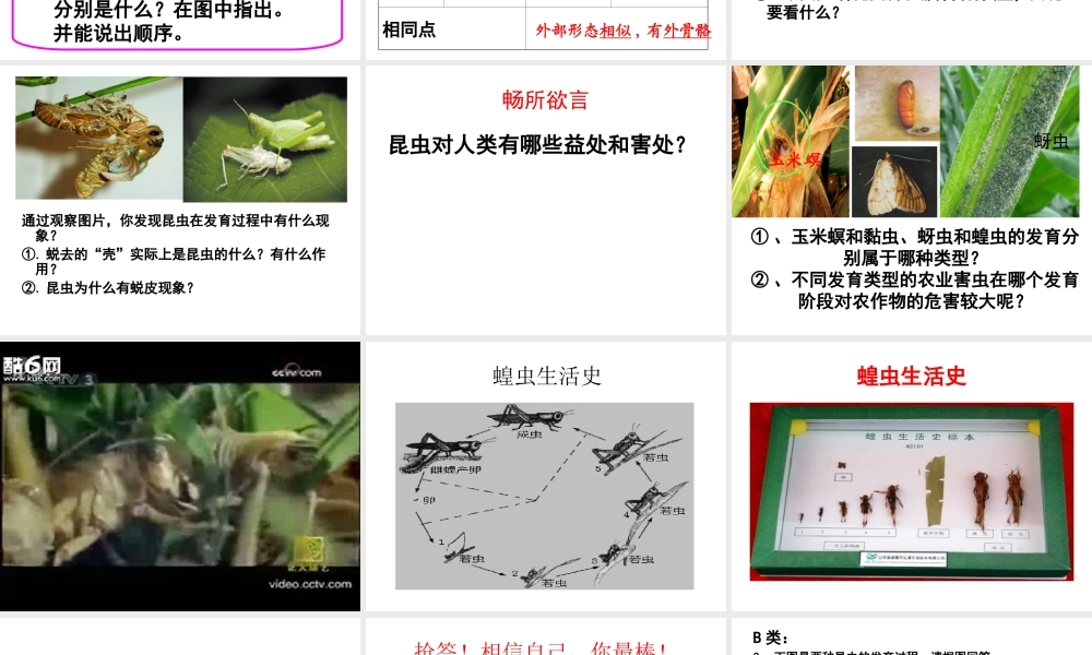 八年级生物上册 4.2.1《昆虫的生殖和发育》课件2 （新版）济南版-（新版）济南版初中八年级上册生物课件