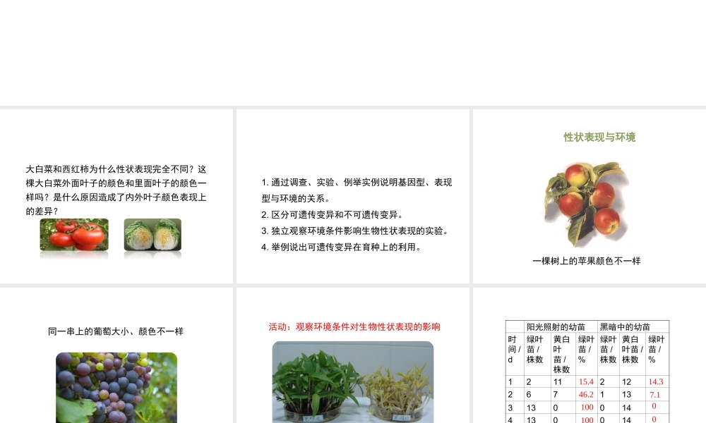 八年级生物上册  遗传与环境课件（2）（新版）北师大版-（新版）北师大级上册生物课件
