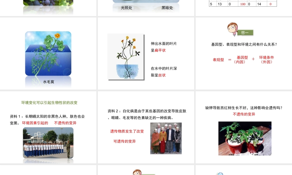 八年级生物上册  遗传与环境课件（2）（新版）北师大版-（新版）北师大级上册生物课件