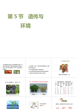 八年级生物上册  遗传与环境课件（2）（新版）北师大版-（新版）北师大级上册生物课件