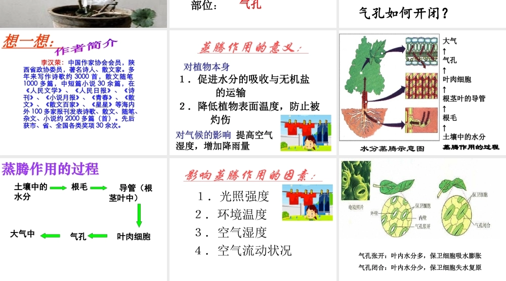 八年级生物上册 3.4.2 蒸腾作用课件 （新版）冀教版-（新版）冀教级上册生物课件